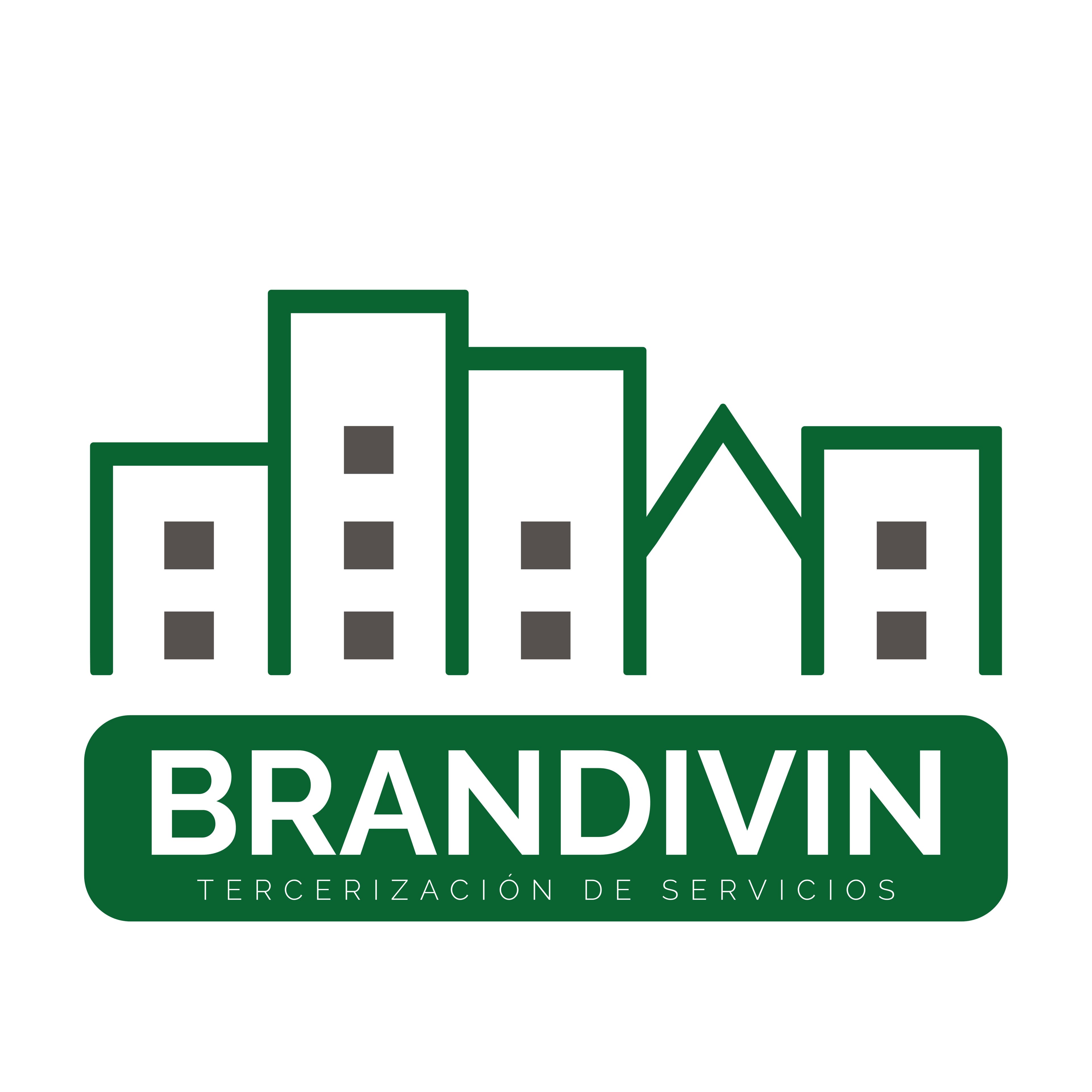 BRANDIVIN SA